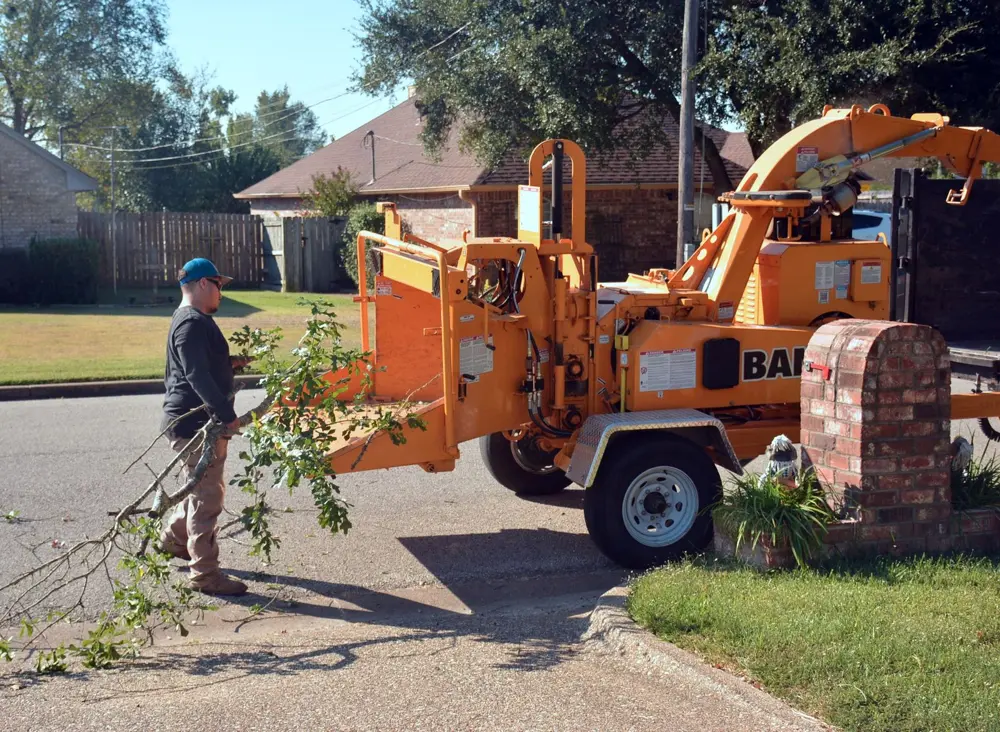 Branches being chipped and hauled away