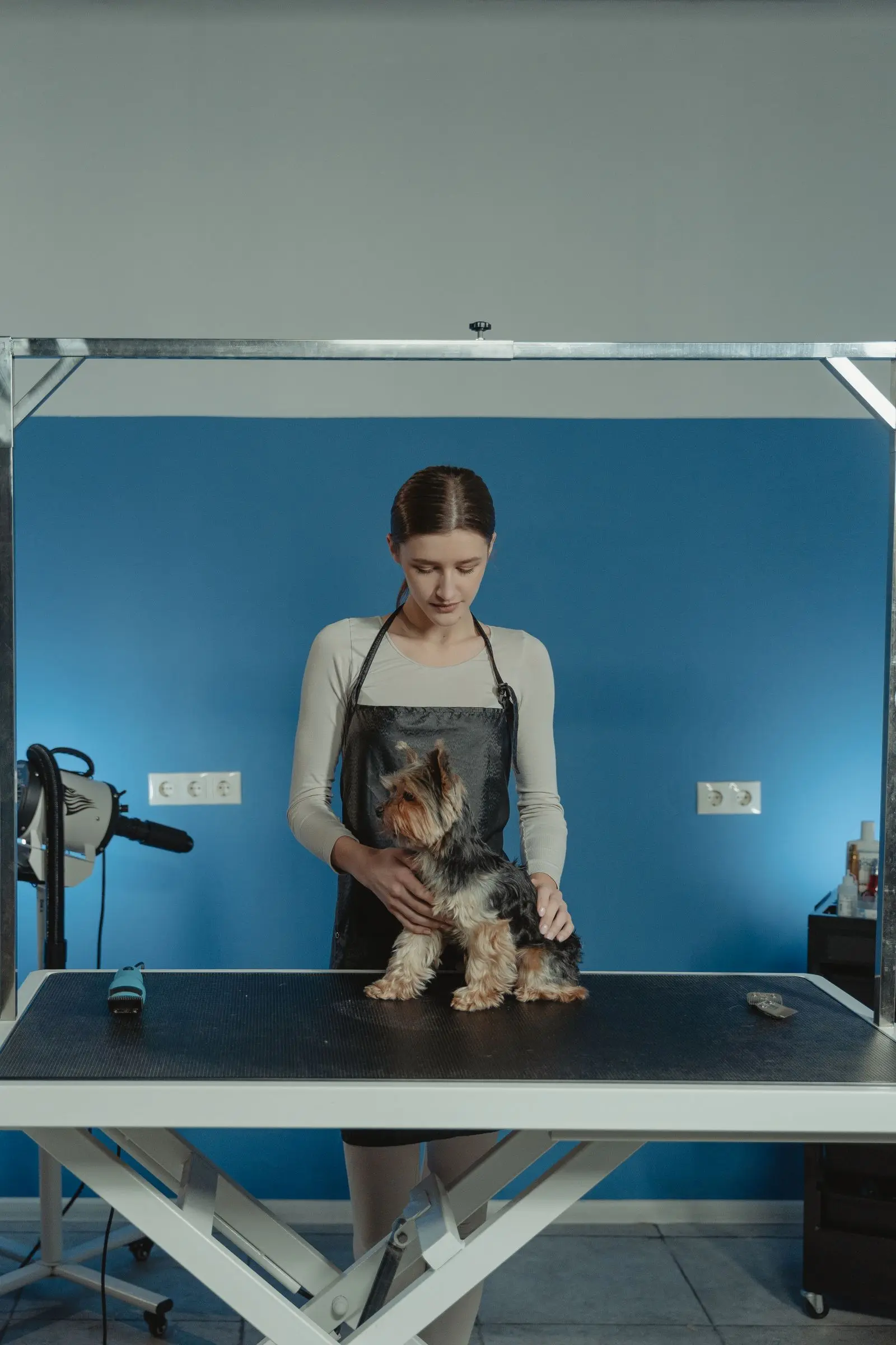 Groomer holding a small fluffy dog