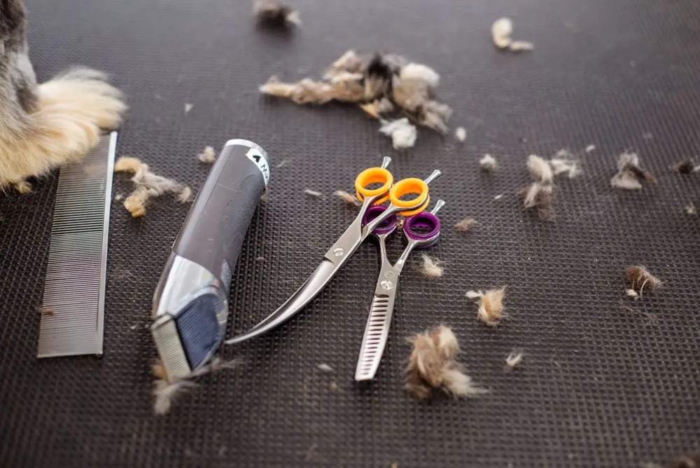 Grooming scissors and clippers